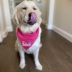 Profile picture of Mark